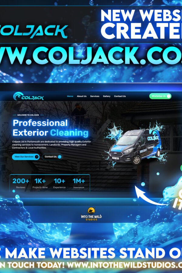 Professional Web Design Agency