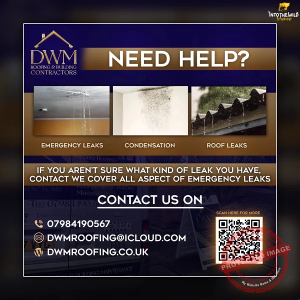 Custom Facebook graphic advert professionally designed by Into The Wild Studios.