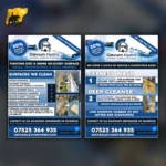 Professional business flyer design created by Into The Wild Studios