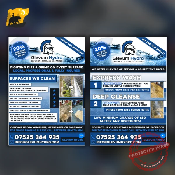 Professional business flyer design created by Into The Wild Studios