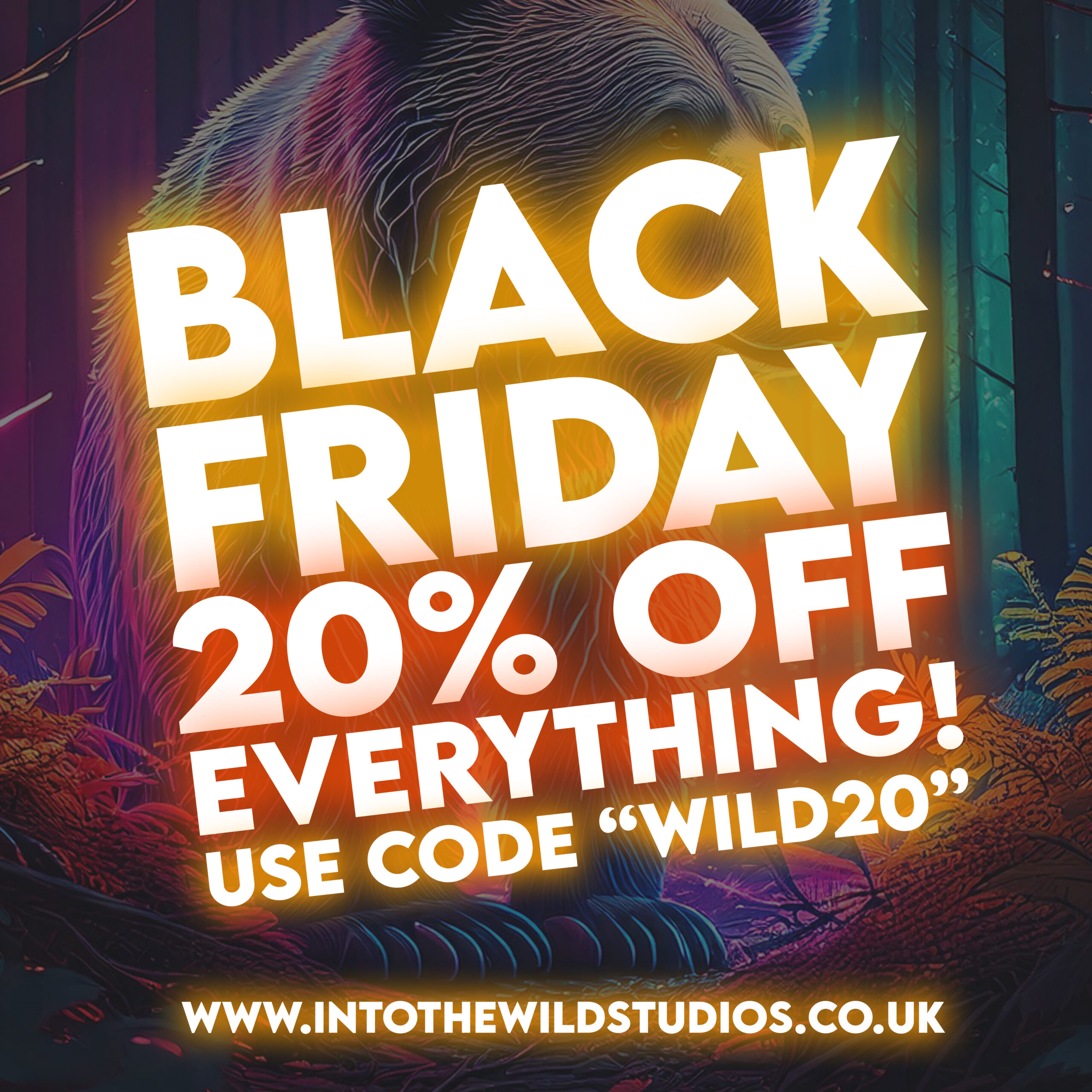 Into the Wild Studios black friday offers