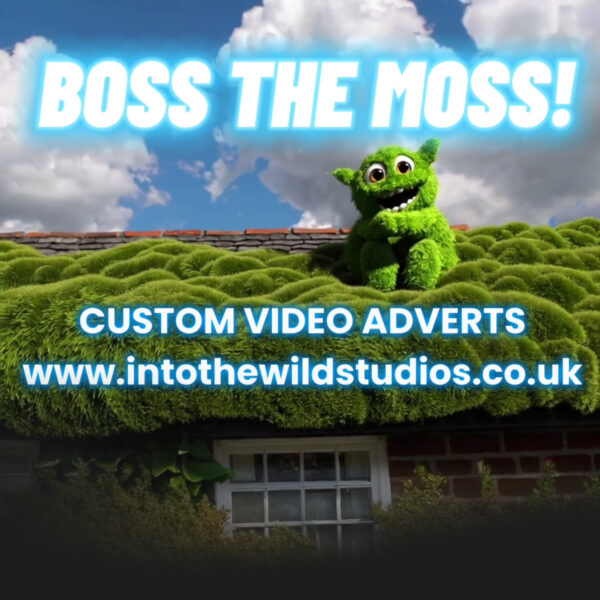 Video Advert