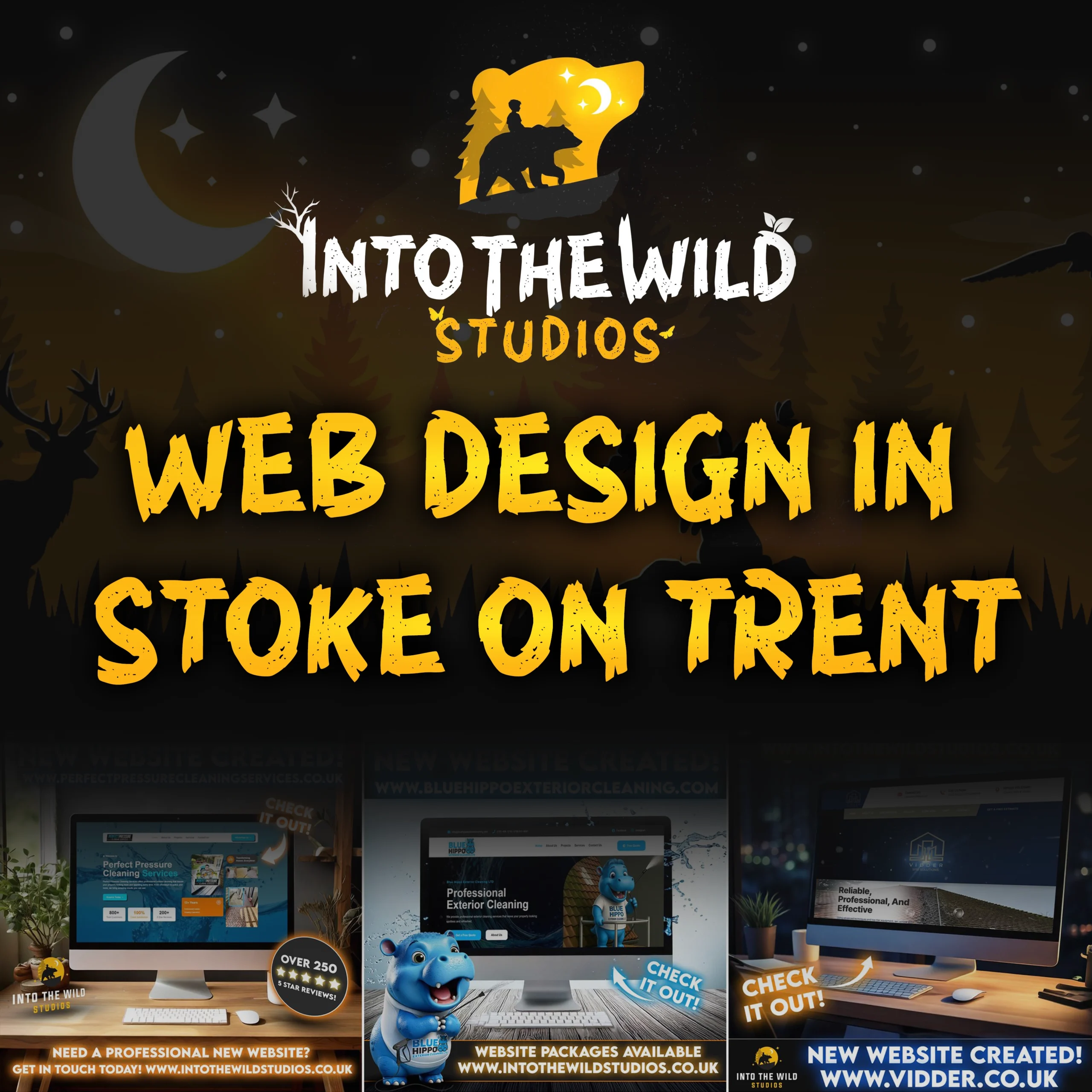 Professional web design helping Stoke-on-Trent businesses grow online with Into The Wild Studios