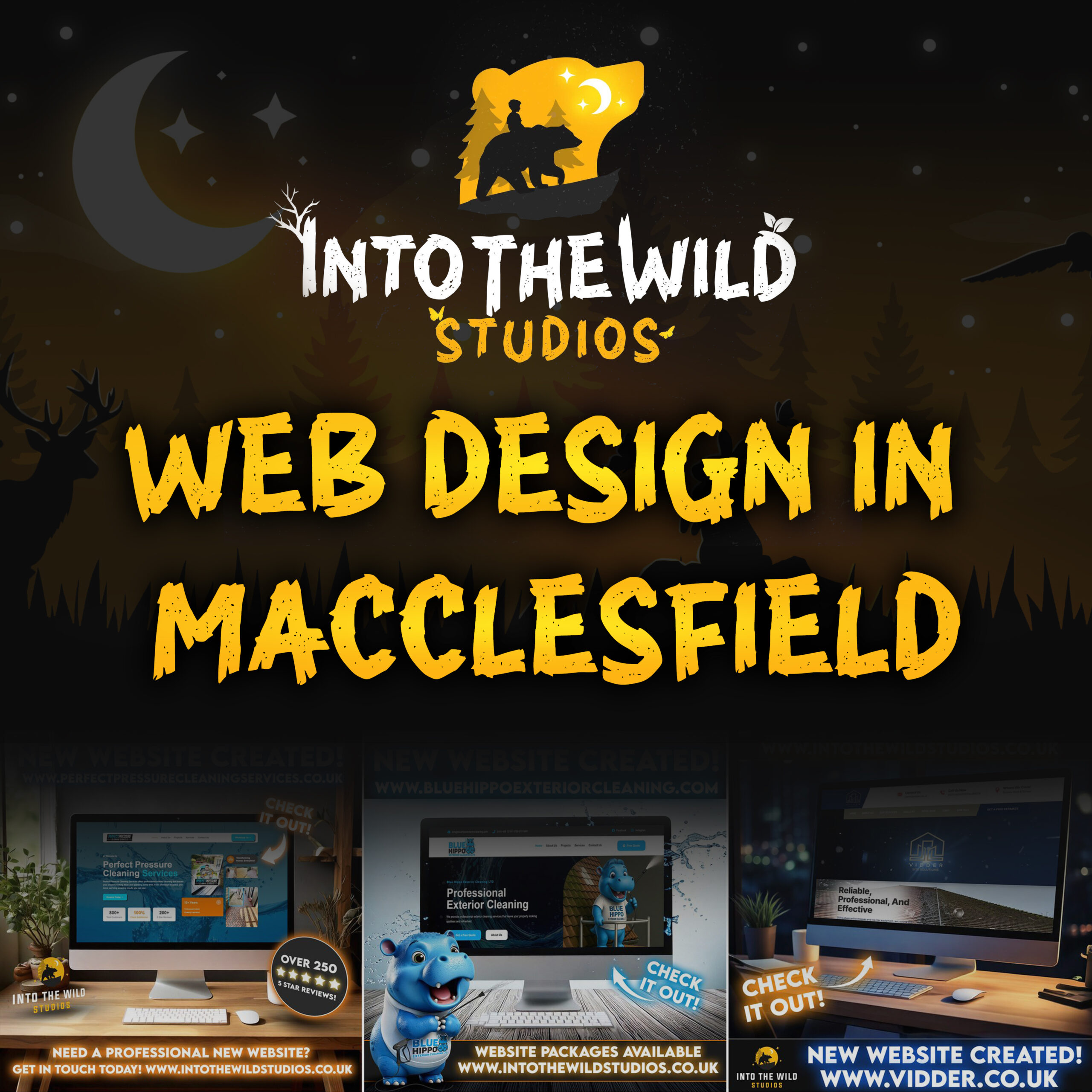 Professional web design in Macclesfield by Into The Wild Studios