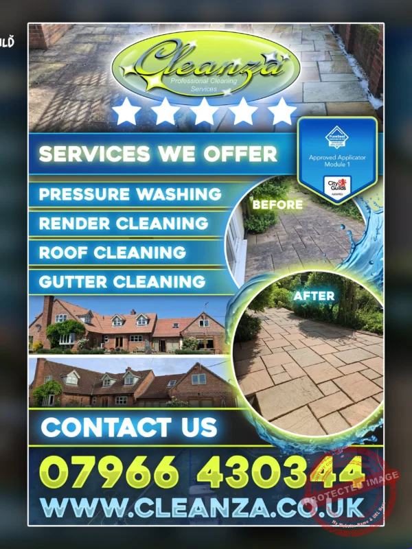 Custom flyer design created for Cleanza Professional Cleaning Services by Into The Wild Studios.