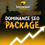 Premium monthly SEO services including SEO blogs, multiple location pages, on-page optimisation, technical SEO and analytics by Into The Wild Studios.