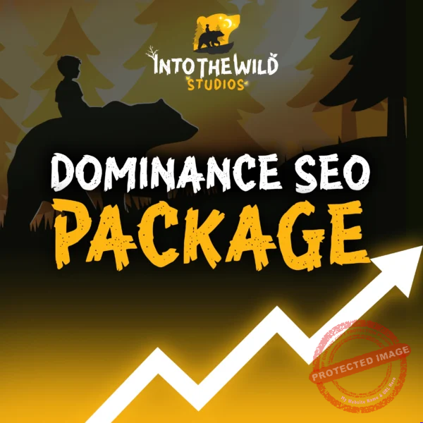 Premium monthly SEO services including SEO blogs, multiple location pages, on-page optimisation, technical SEO and analytics by Into The Wild Studios.