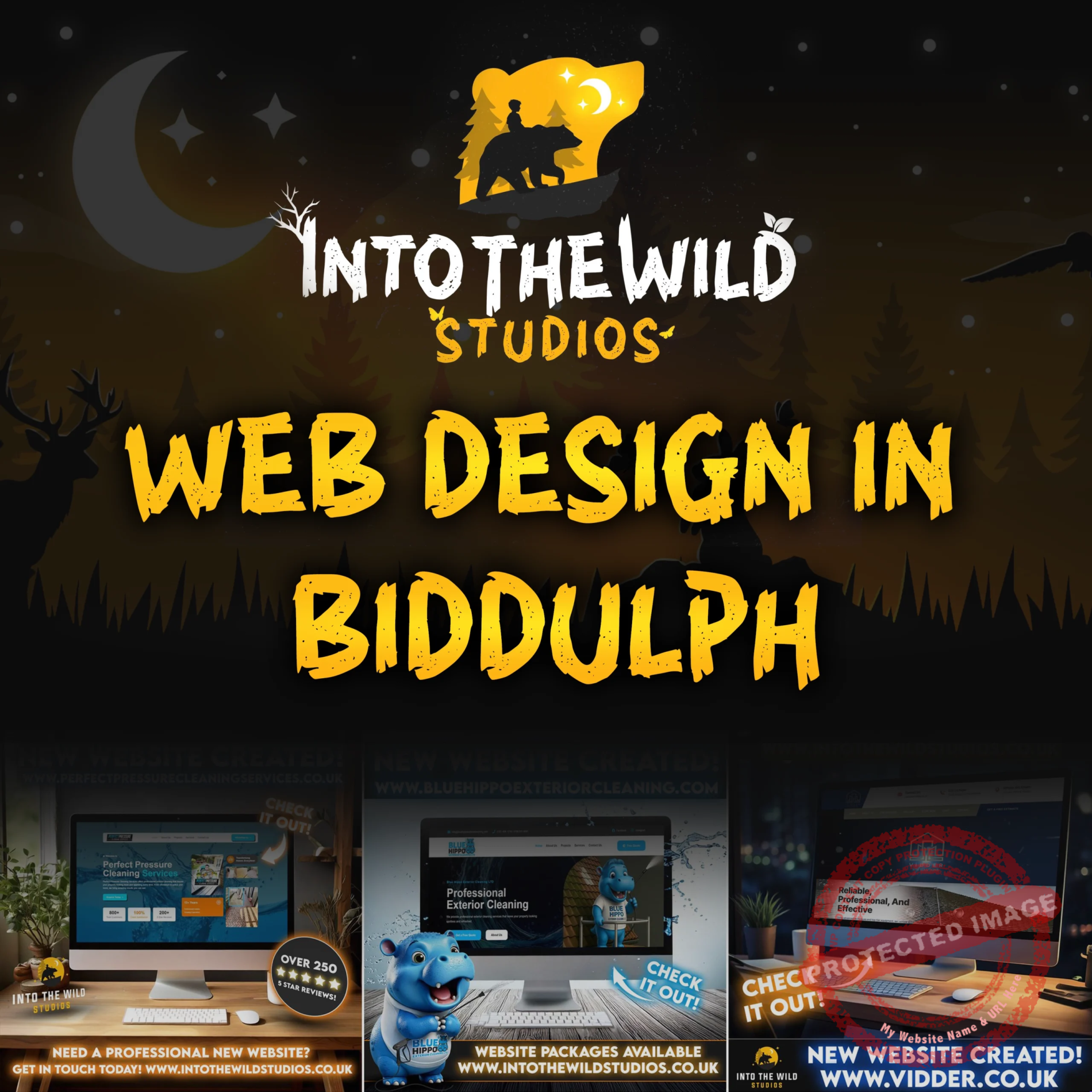Professional web design in Biddulph helping local businesses grow online