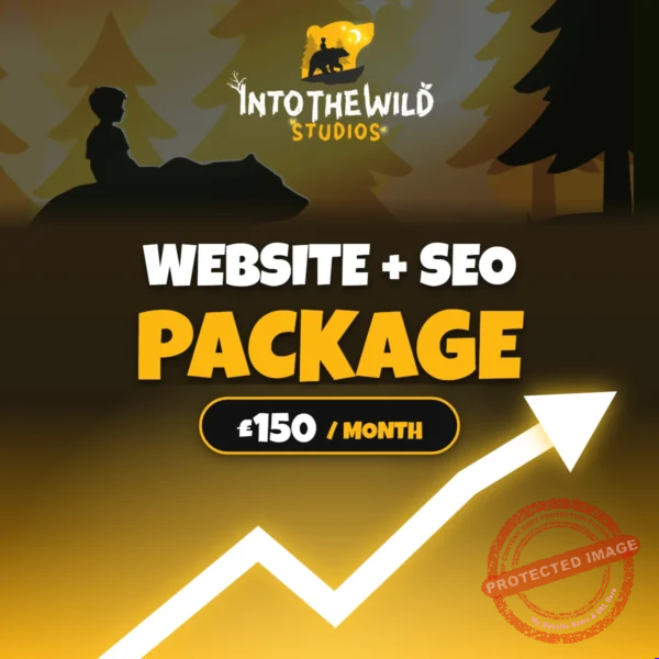 Into The Wild Studios Website + SEO Package – £150 a month
