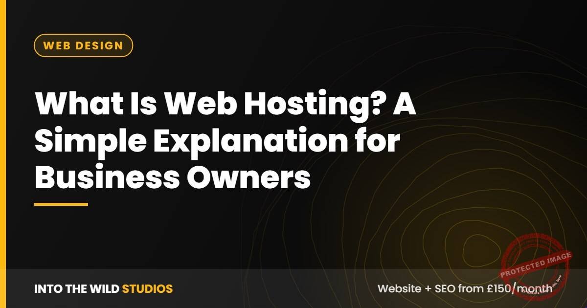 What Is Web Hosting? A Simple Explanation for Business Owners – Into The Wild Studios